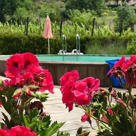Country house Antonia *